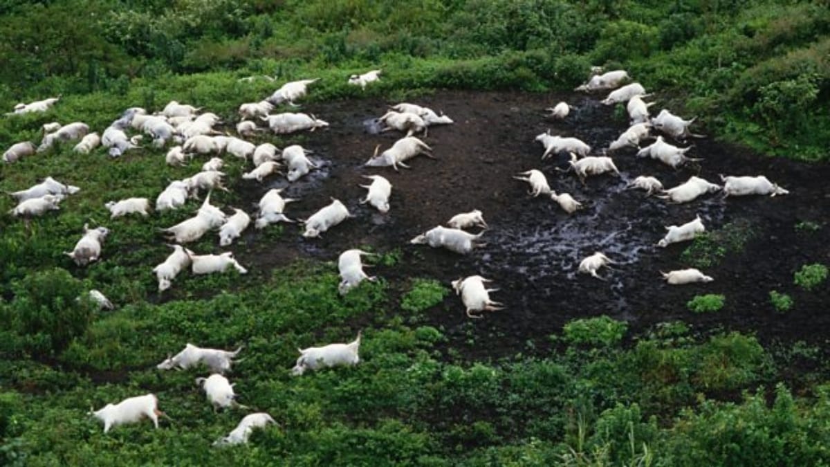 Deadliest Lake In The World died thousands of people in one night here