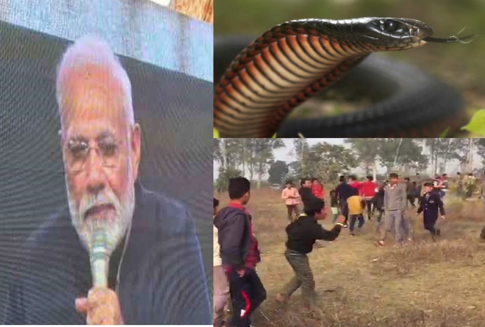 Snake Enter in pm narendra modi Model college foundation program in haridwar
