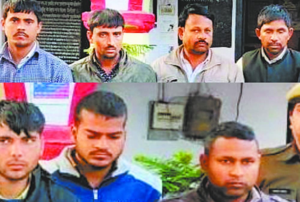 stf arrested seven frauds for theft in online delivery container.