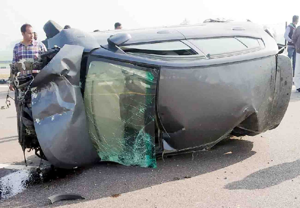 Car accident due to lizard