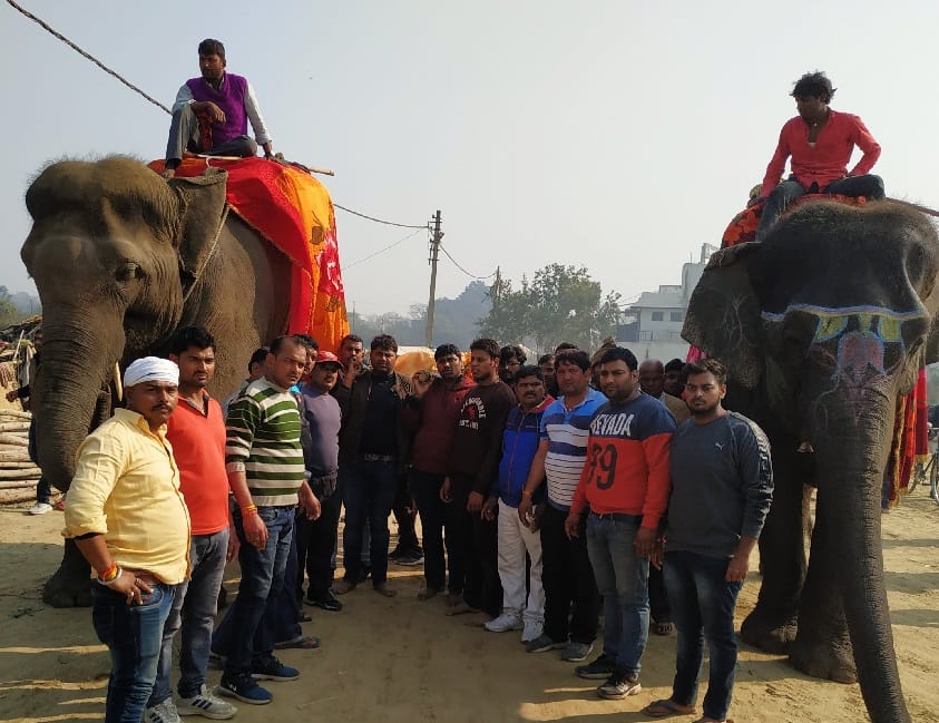 शहर की सड़कों पर ‘हाथी मेरे साथी’