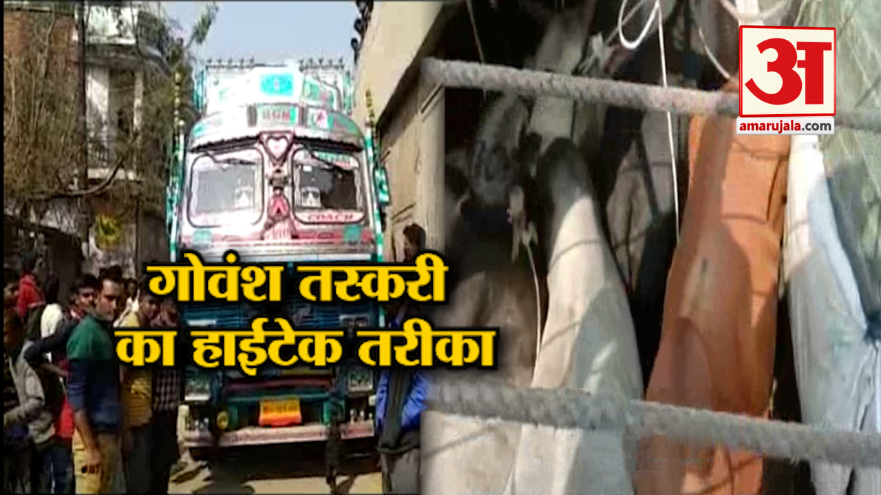 कानपुर