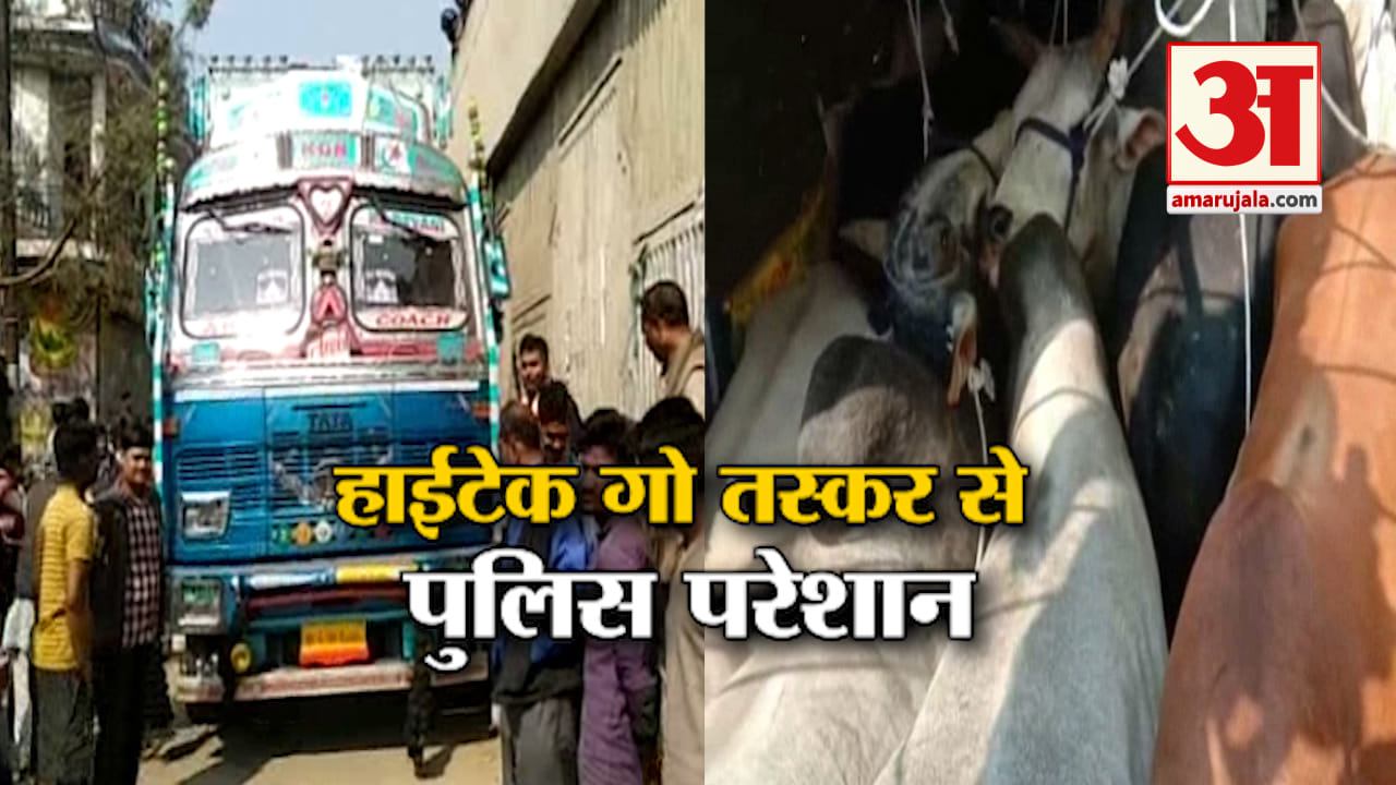 कानपुर