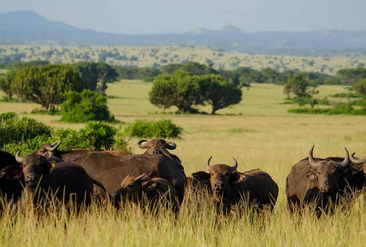 best trekking destination in africa