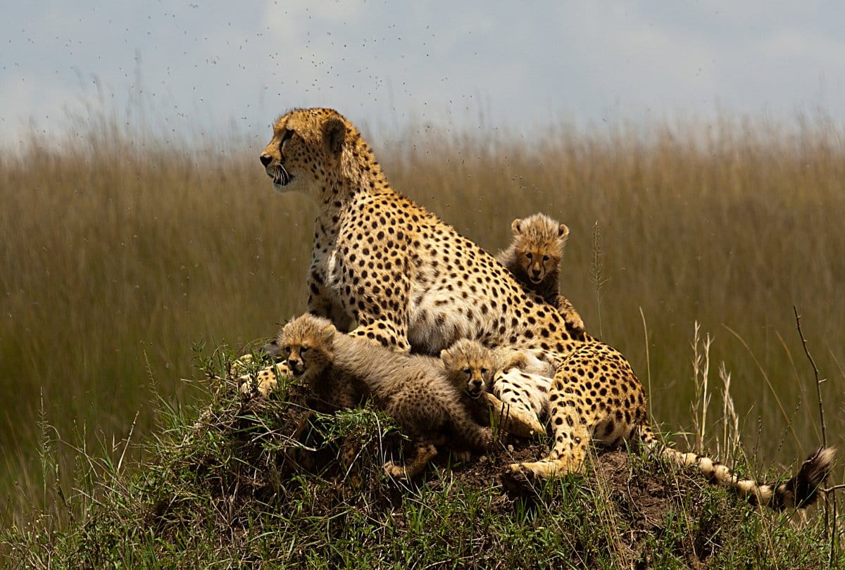 best trekking destination in africa