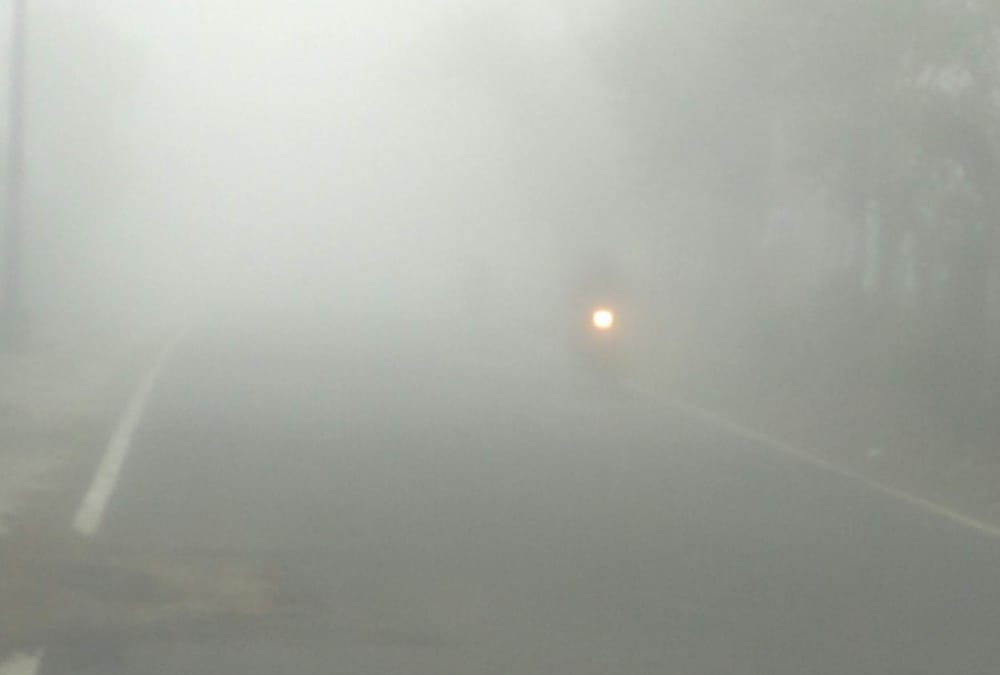 fog also affected trains and buses