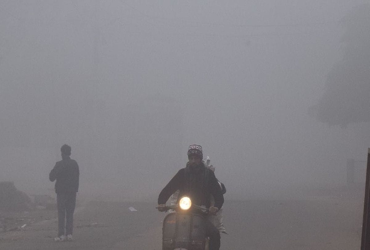 weather change due to heavy fog and cold wave in agra zone