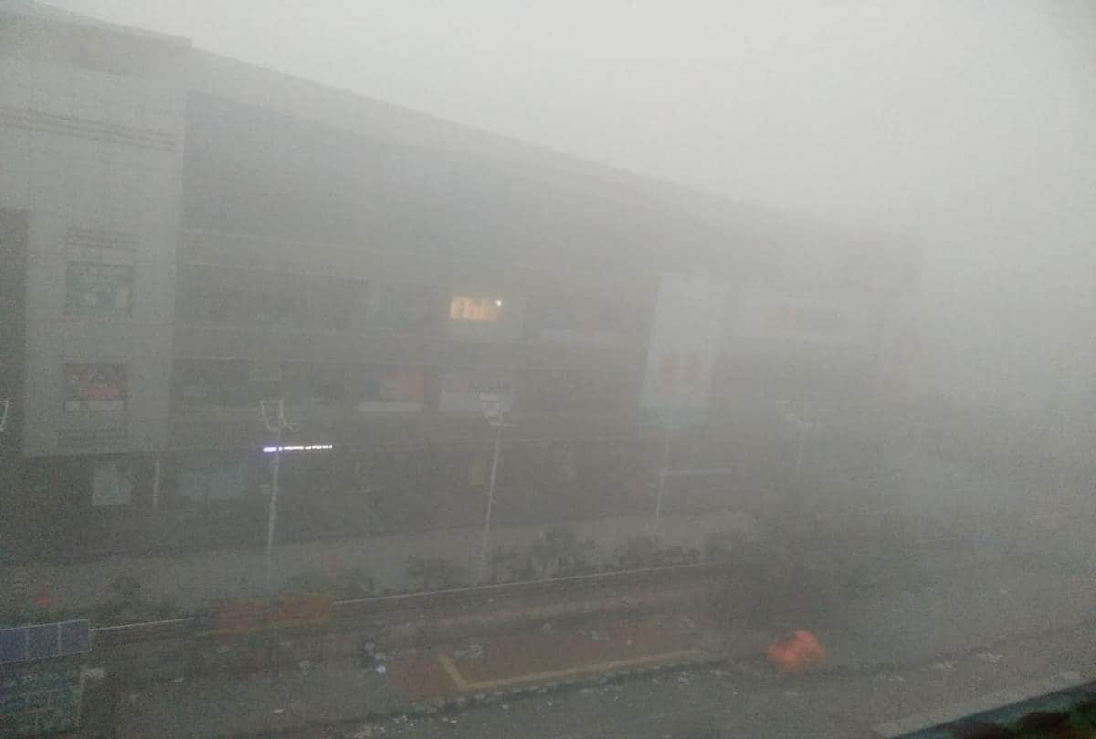 cold wave and Dense Fog in North India, Meteorological Department Advisory Issued