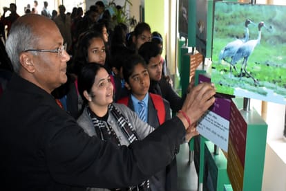 Meerut: foreign birds in hastinapur sanctuary in West UP and see photos