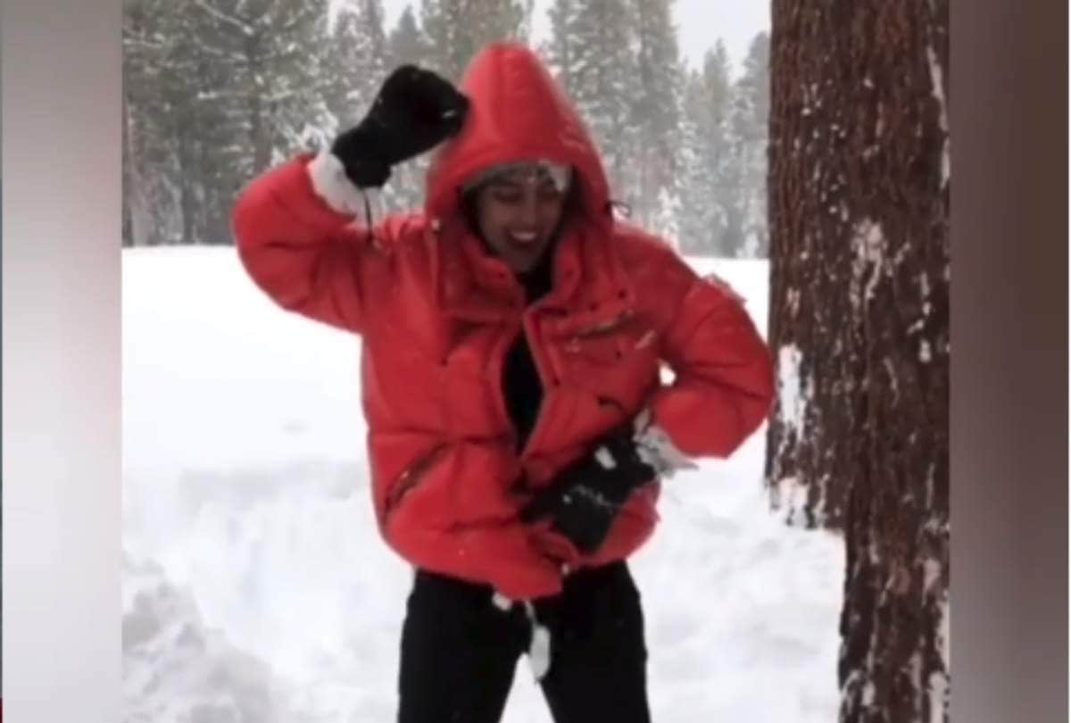 priyanak chopra and nick joans enjoyed at california with their family and friends