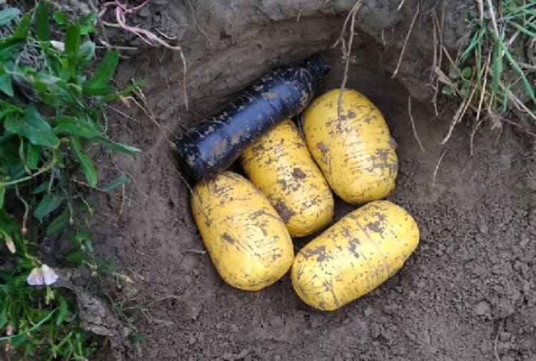 bsf caught four packet of heroin in firozpur