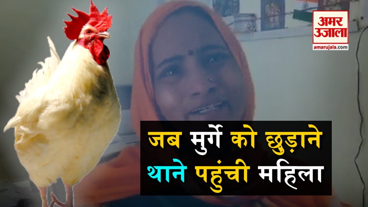 डिजाइन पिक्चर
