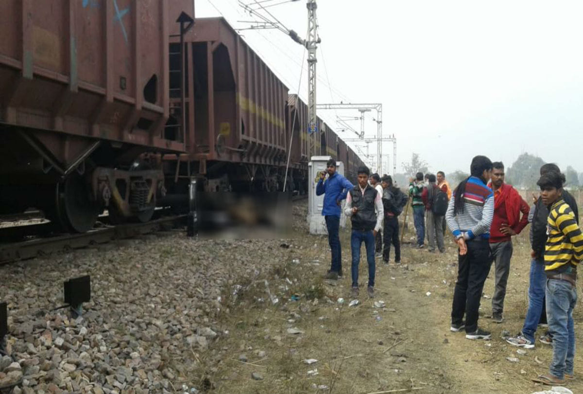stray cattle deaths after hit by goods train in firozabad