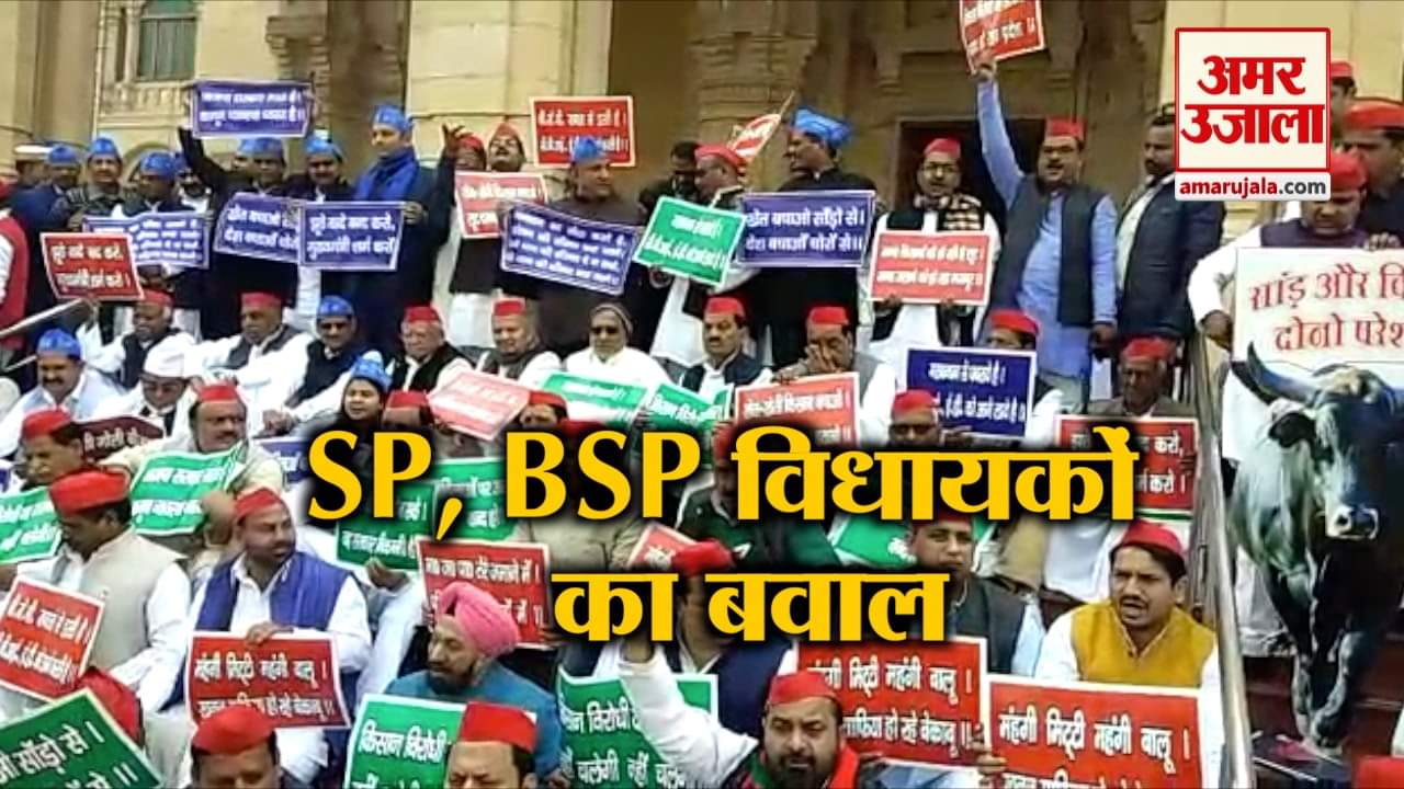 यूपी न्यूज