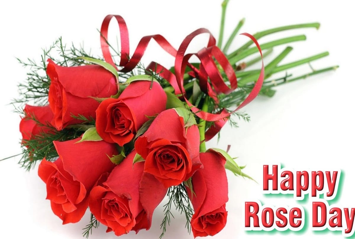 Valentine Week Special: Rose Day 2019 today, know how different color of roses represent love