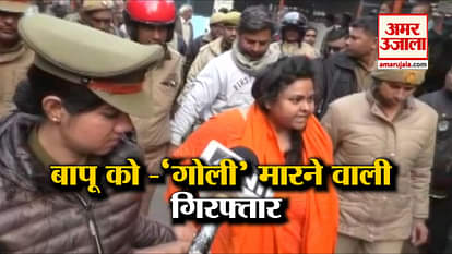 Hindu Mahasabha leader pooja shakun pandey arrested for shooting at Mahatma Gandhi's effigy