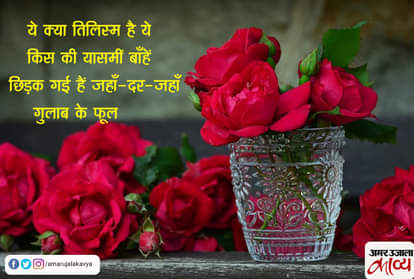 Makeed amjad ghazal on rose gulab ke phool