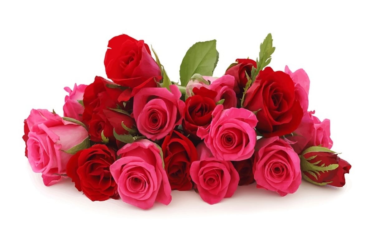 rose day 2019 jokes and memes images in hindi