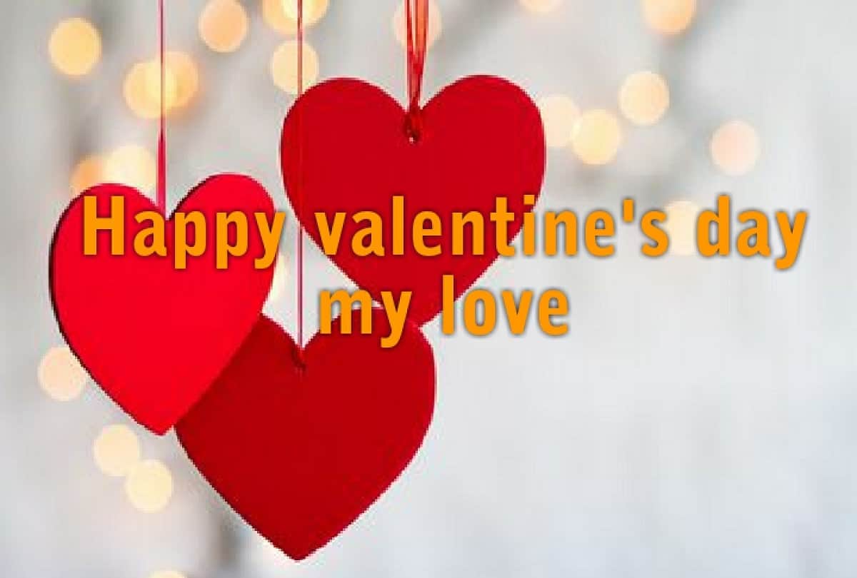 Valentine's Day Special: Interesting love story of officers sitting in the top posts