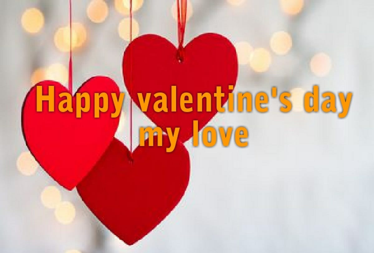 Valentine's Day Special: Interesting love story of officers sitting in the top posts