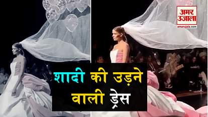 today's viral videos