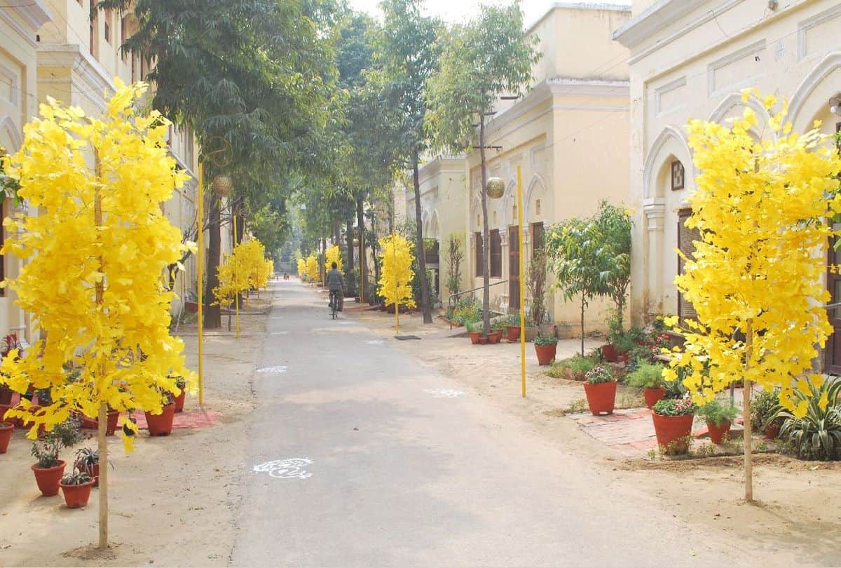 Vasant Mahotsava In Dayalbagh Agra