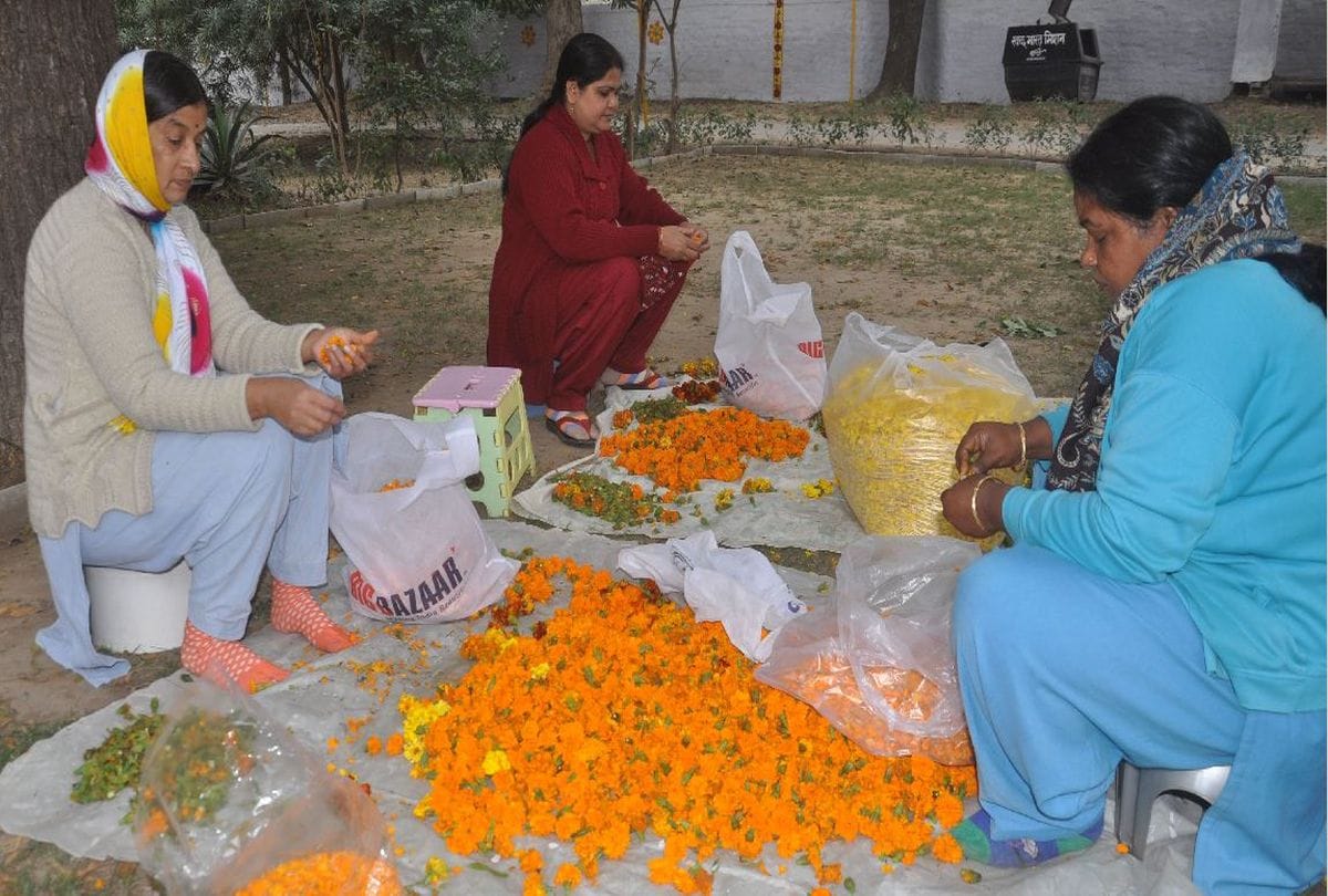 vasant panchami 2019 preparations in dayalbagh in agra
