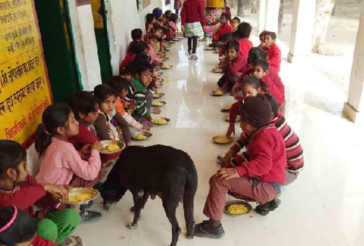 when children having mid day meal with dog