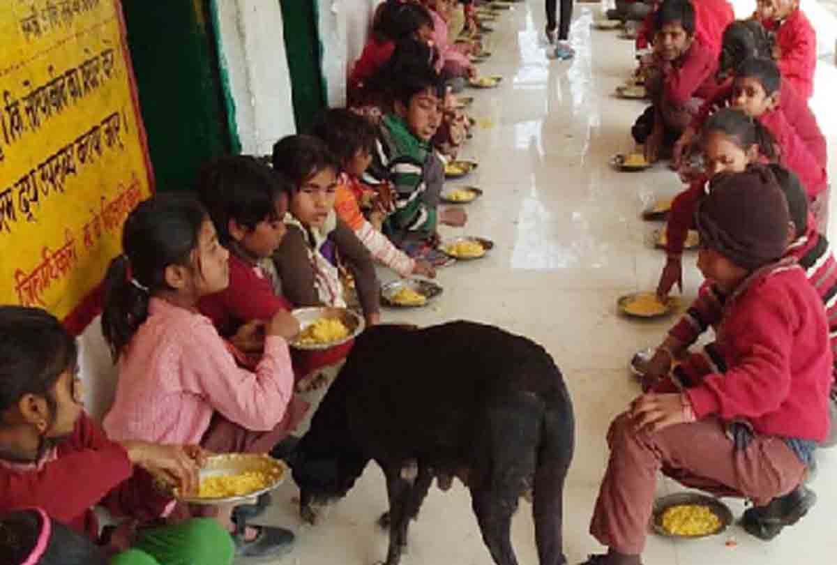 when children having mid day meal with dog