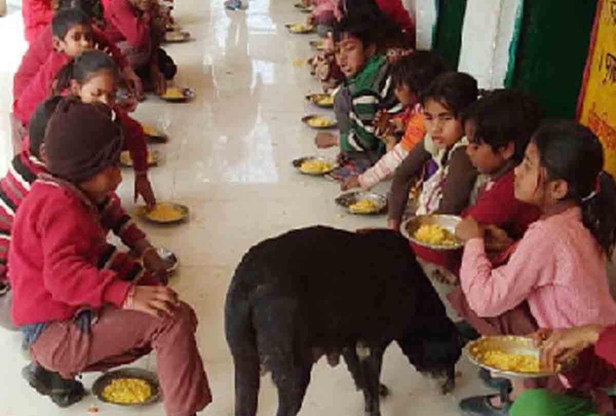 when children having mid day meal with dog