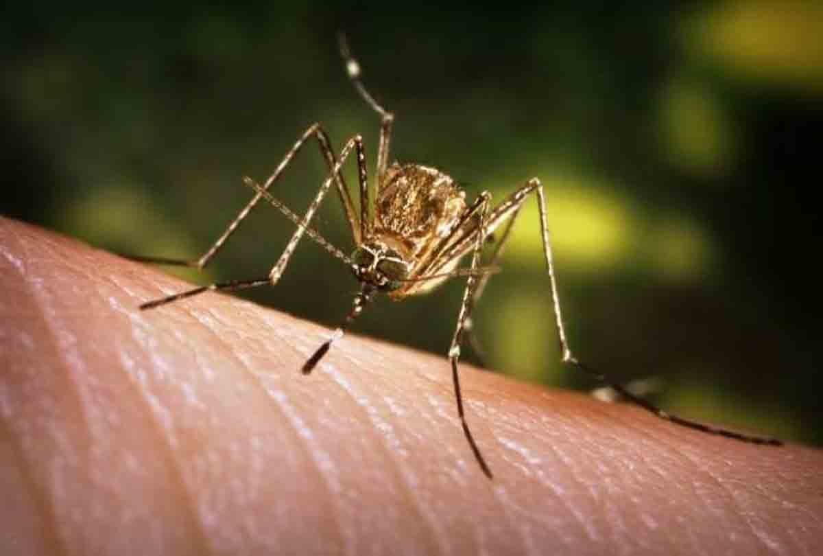 74 thousand children have no vaccination of Japanese encephalitis
