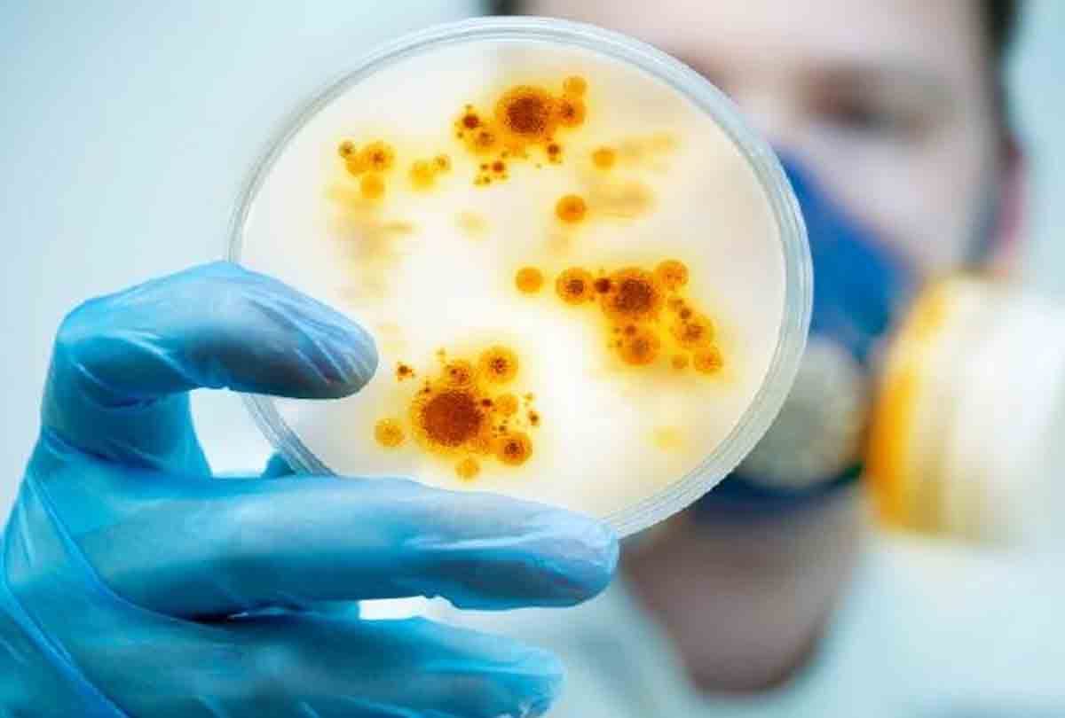 teacher affected with swine flu found death