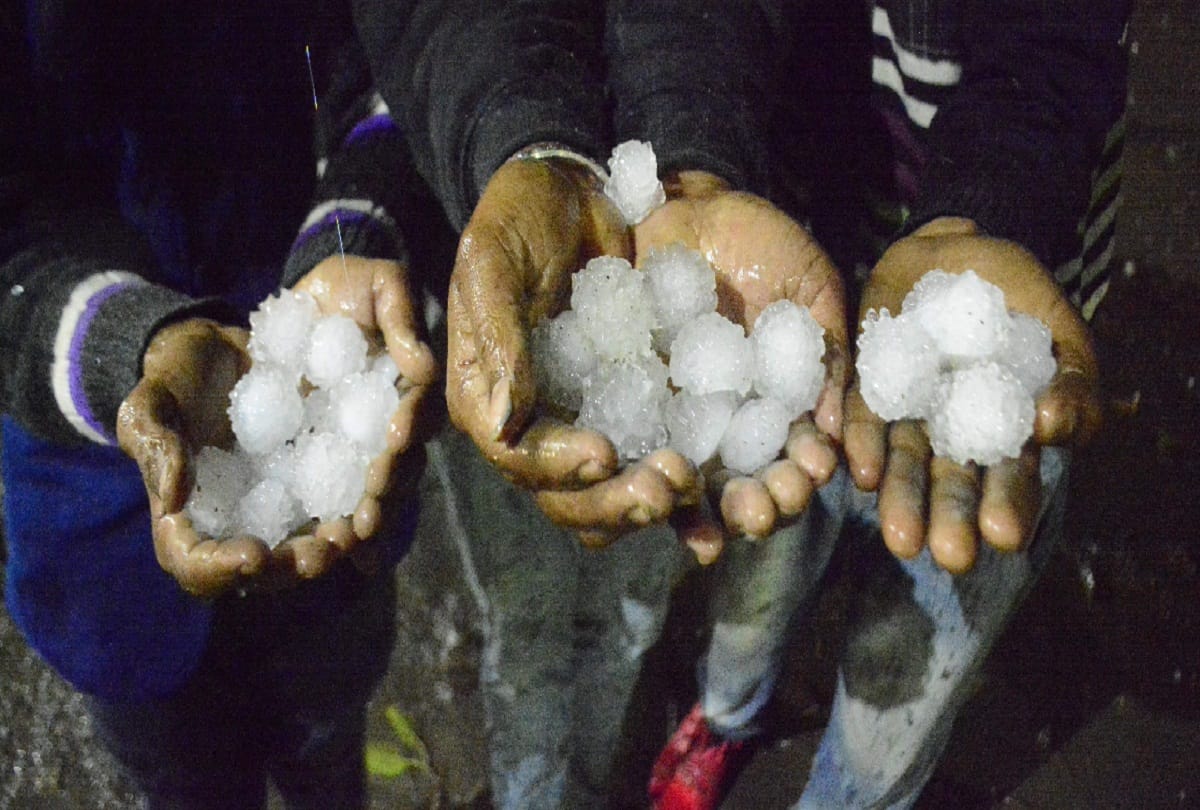Crops damaged by heavy hailstones