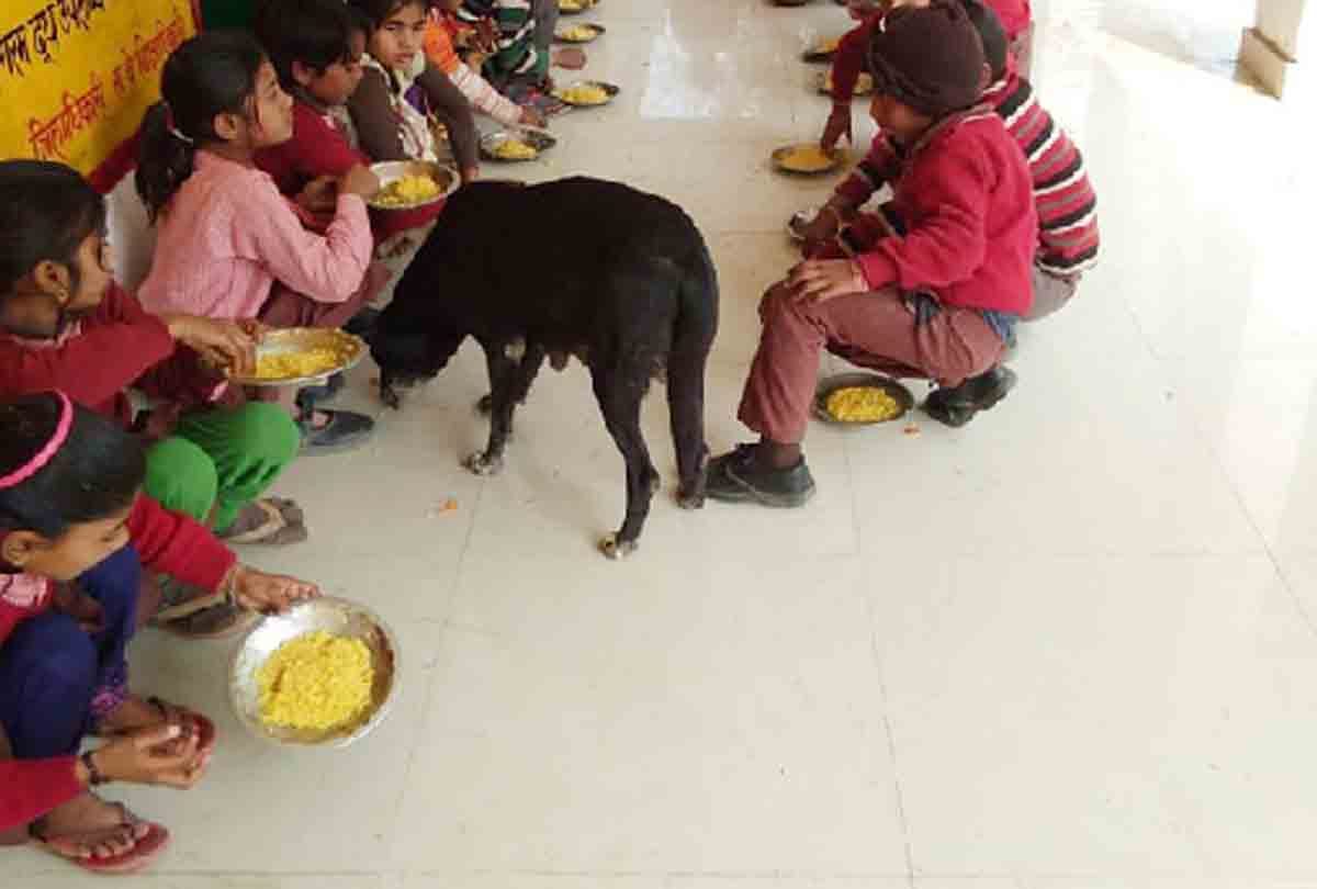 मिड डे मील में बच्चों की थाली में खाना खाता कुत्ता