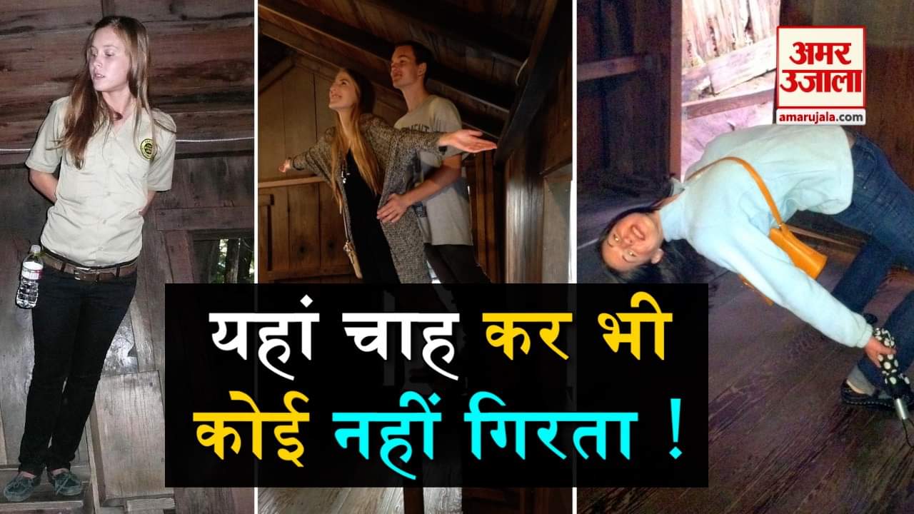 डिजाइन पिक्चर