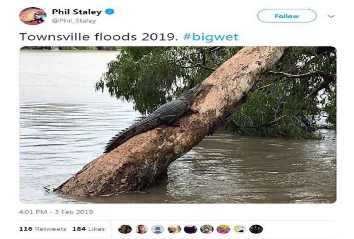 australia australia in the century devastating flood crocodiles walking on streets