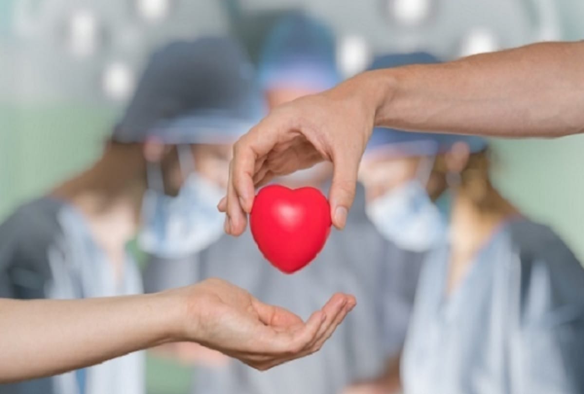 Ogran Donation Day: Informations about Organ Donation