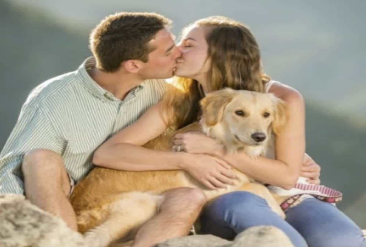 Propose Day 2019: romantic ways to propose your partner