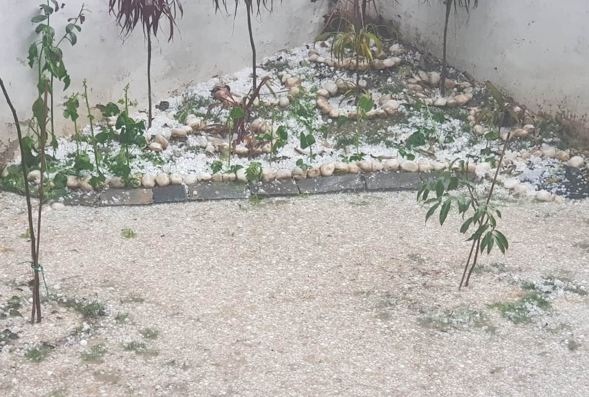 rain and hailstone lashes in parts of delhi ncr feels like snowfall all update