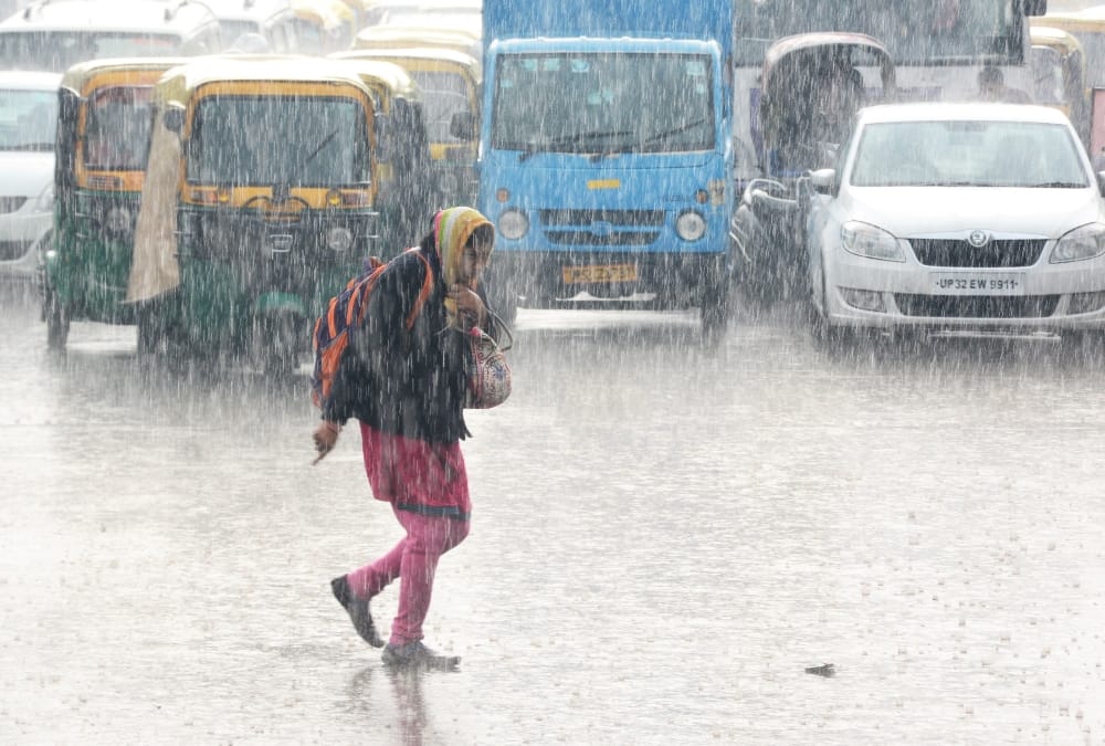 cold due to nonseasonal rain, holiday declared in schools crop effected