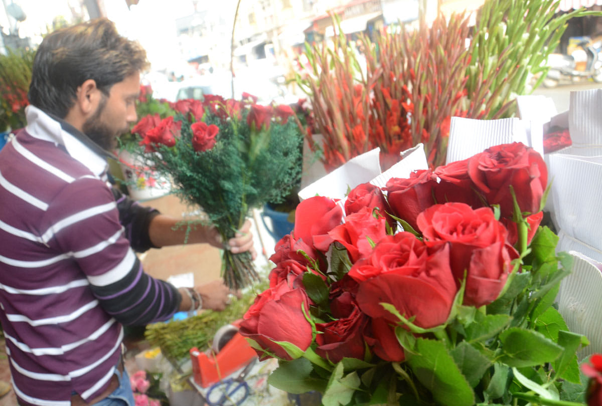 Valentine Week Special: Rose Day 2019 today, know how different color of roses represent love