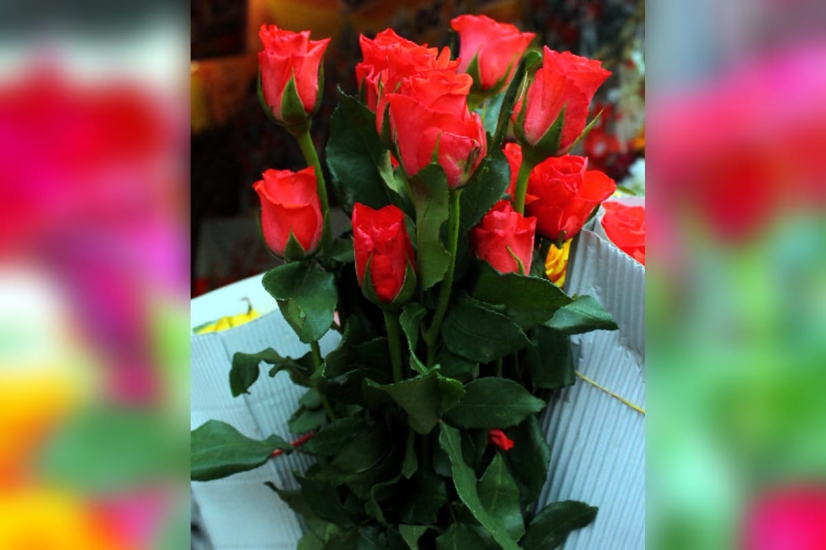 Valentine Week: propose your love with a silver Rose on Rose day