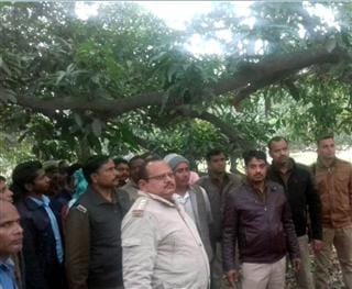 Two of the young women who had gone to the fodder were hanged from the zombies tree