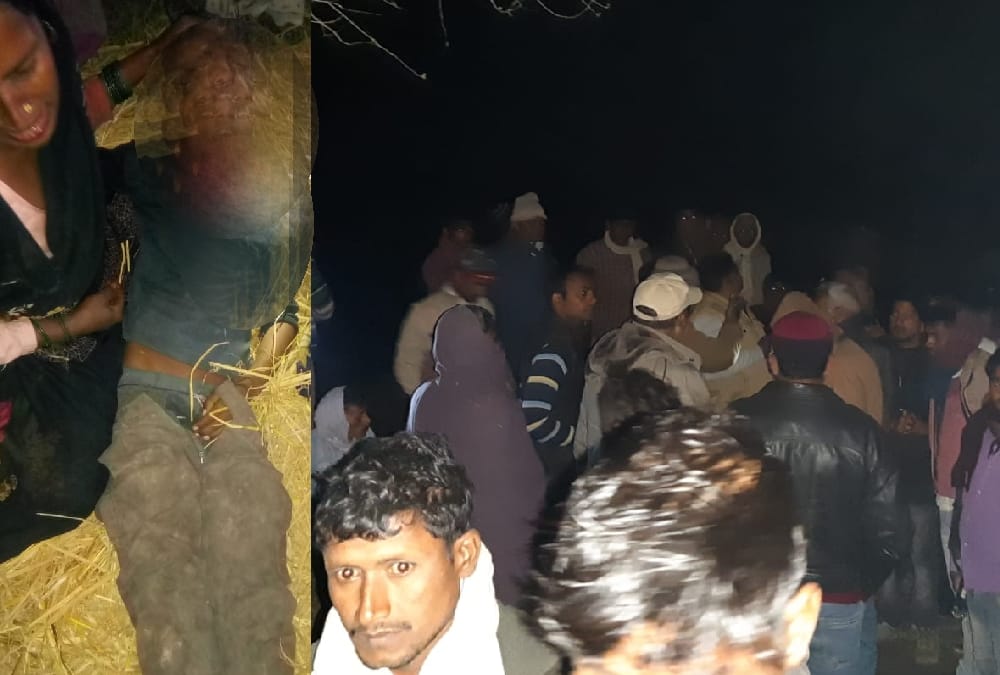 leopard killed a boy in bahraich.