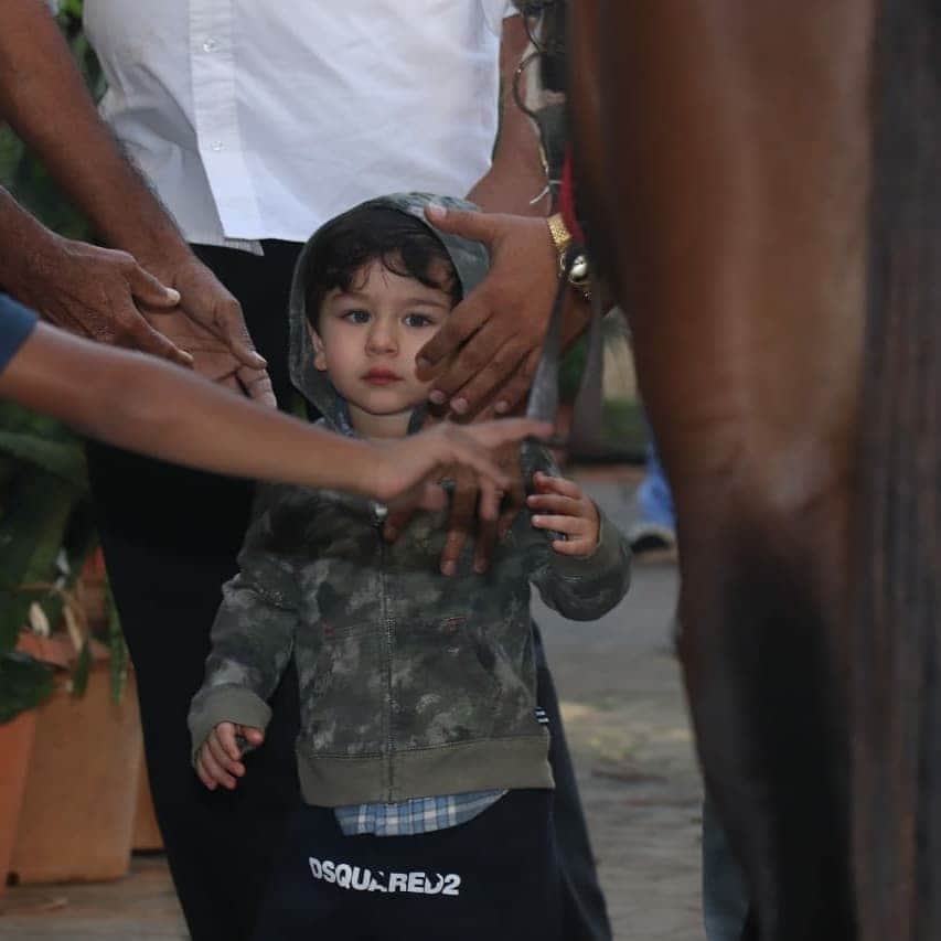taimur ali khan enjoyed horse riding