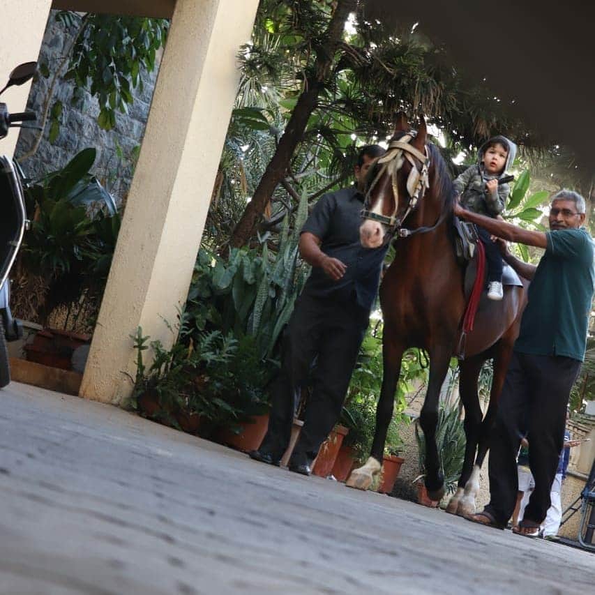 taimur ali khan enjoyed horse riding