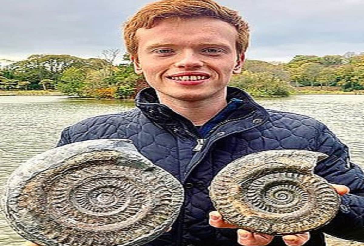 Strange story Student found golden cannonball on beach who opened the 18.5 million year old secret