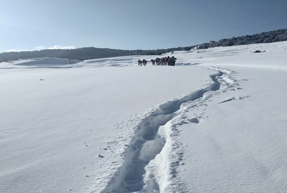 Auli Hotels Booking Full before new year 2020