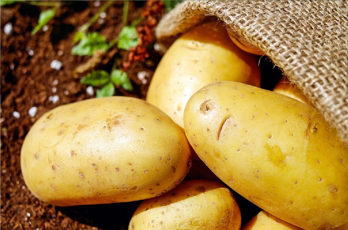 How Much Protein Is in a Potato?