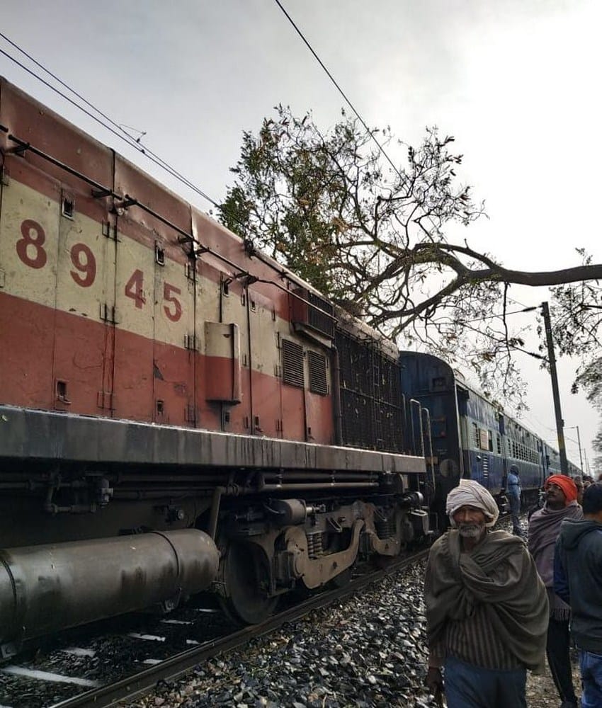 a tree fell down on intercity express